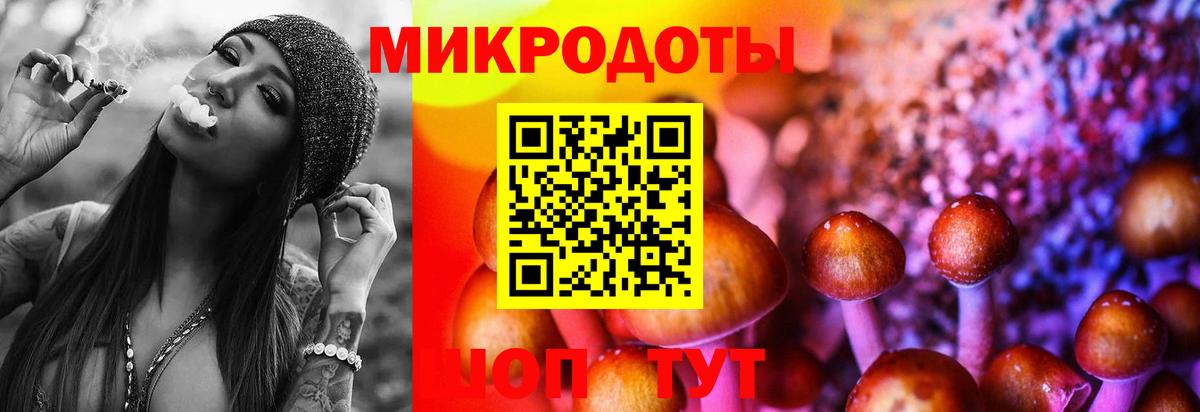 Псилоцибиновые грибы MAGIC MUSHROOMS Россия