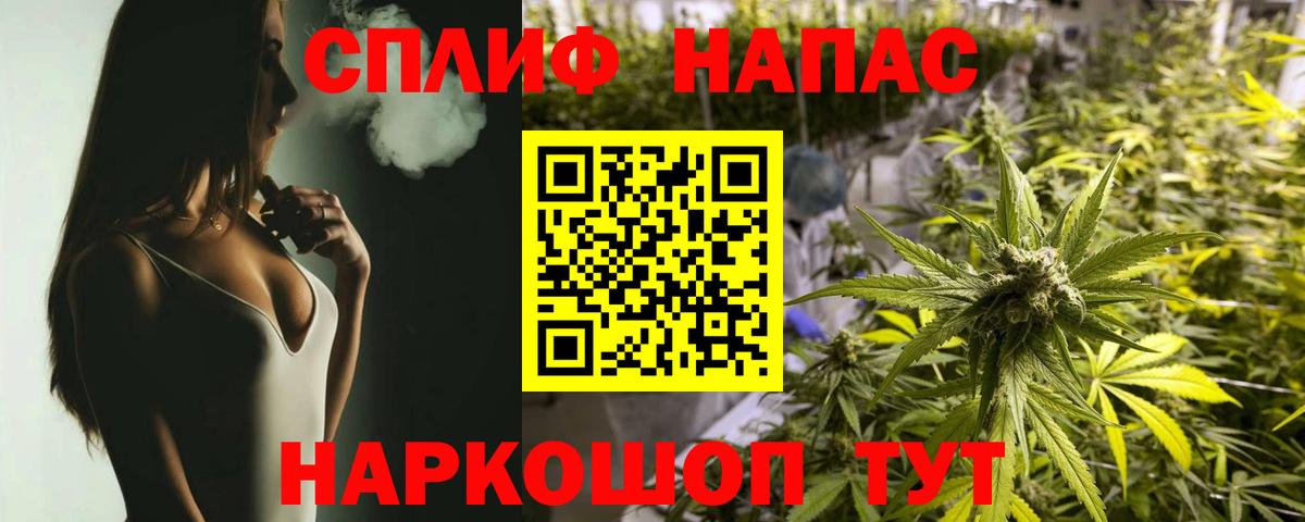 Канабис ГИДРОПОН Россия